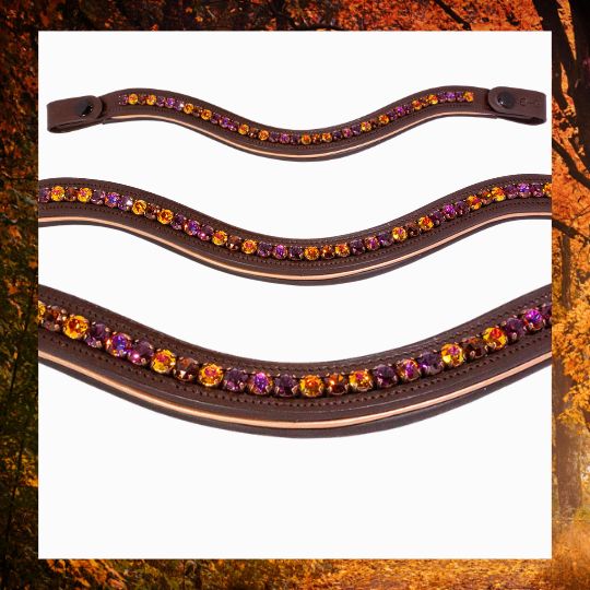 Product image for Autumnal elegance rhinestone browband for horse bridle