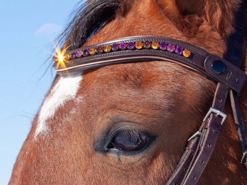 Luxury Equestrian Tack crystal browband autumnal elegance