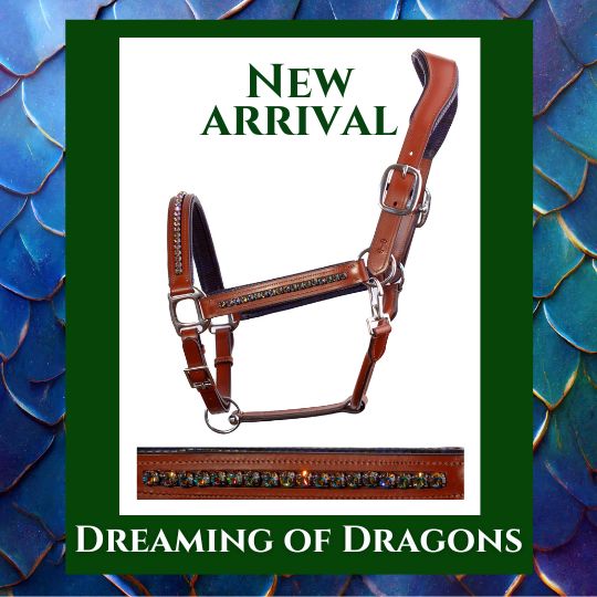 Click to see Dreaming of Dragons Crystal Bejeweled Halter