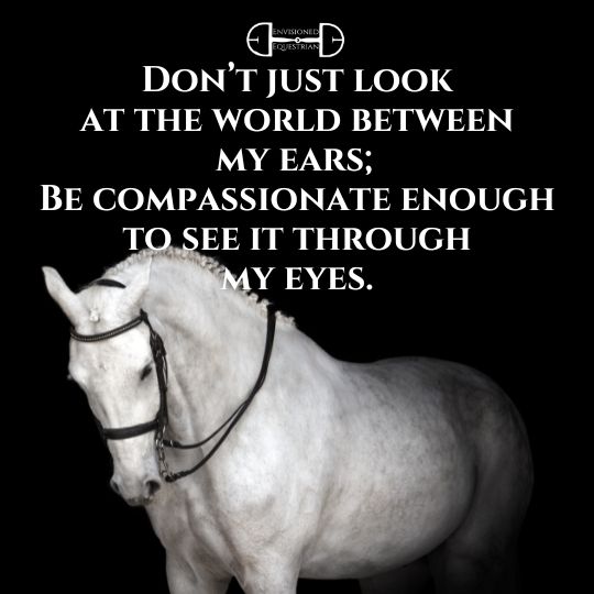 Horse with crystal browband quote