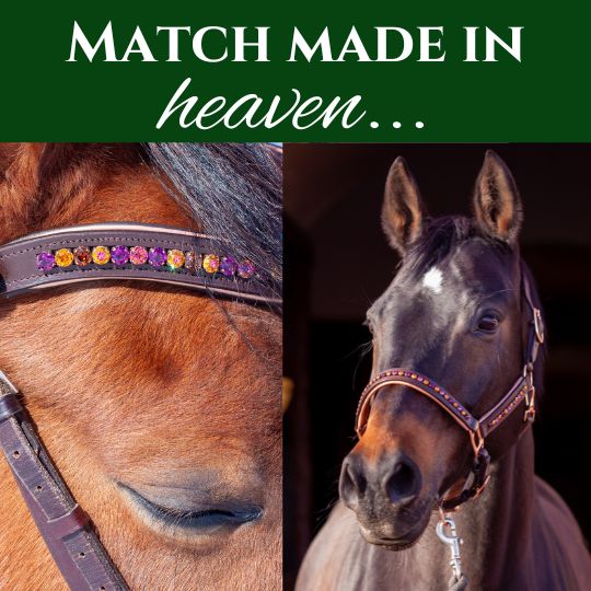 Items in our luxury equestrian tack shop