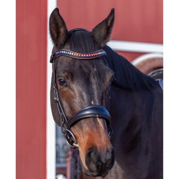 Product image for luxury horse tack