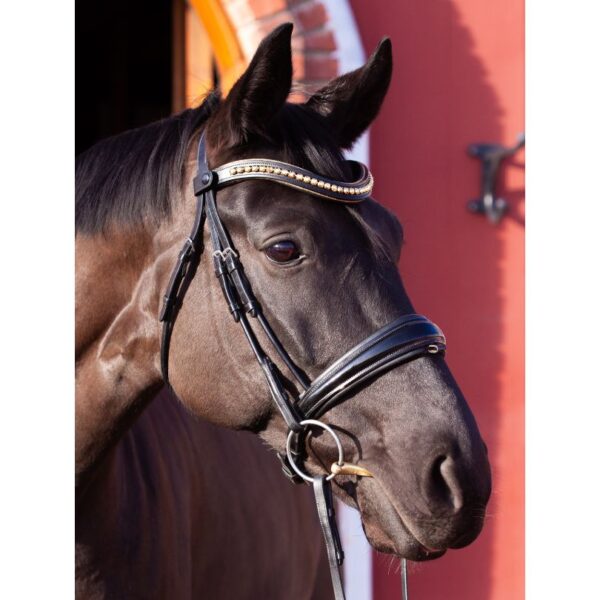 Go for Gold Browband - Image 2