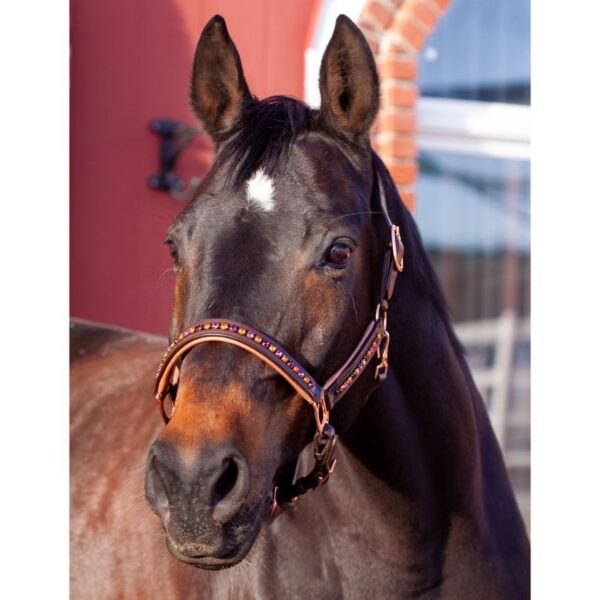 Autumnal Elegance Padded Ergonomic Halter in Rose Gold - Image 2