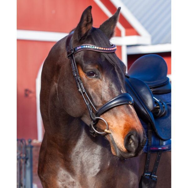 Rainbow Delight Browband - Image 3