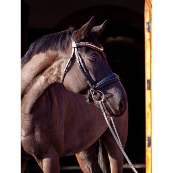 Go for Gold Browband - Image 4