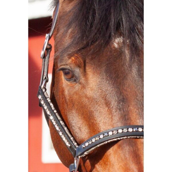 Phantom's Prestige Padded Ergonomic Halter - Image 4