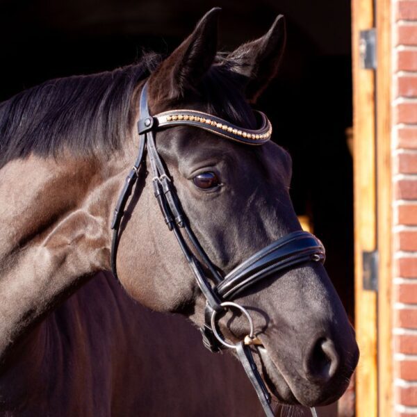 Go for Gold Browband - Image 5