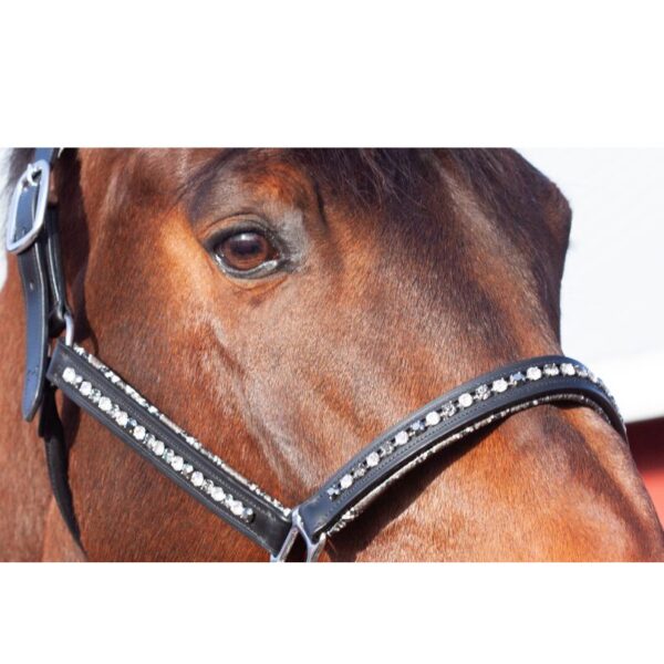 Phantom's Prestige Padded Ergonomic Halter - Image 3