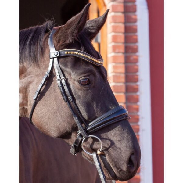 Go for Gold Browband - Image 6