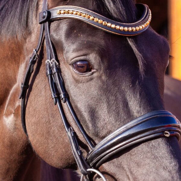 Go for Gold Browband - Image 3