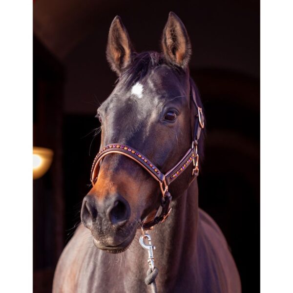 Autumnal Elegance Padded Ergonomic Halter in Rose Gold - Image 4