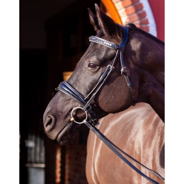 Gallery image for handmade crystal browband custom horse tack