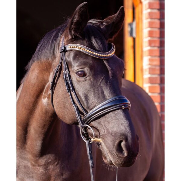 Go for Gold Browband - Image 7