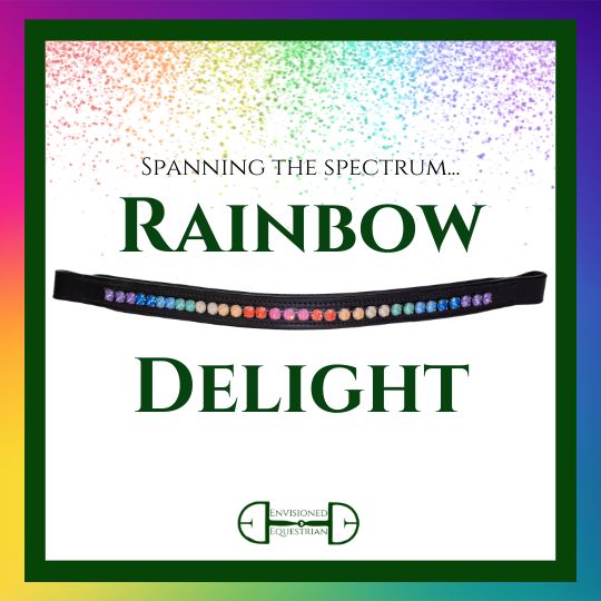 Click her to view Rainbow Delight crystal browband