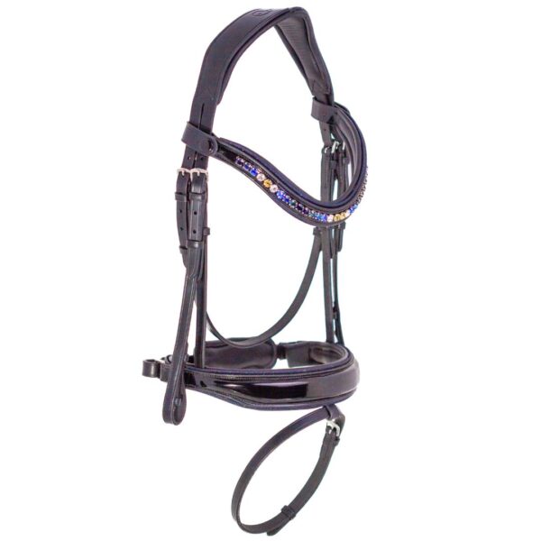 Starry Night Bridle - Image 2