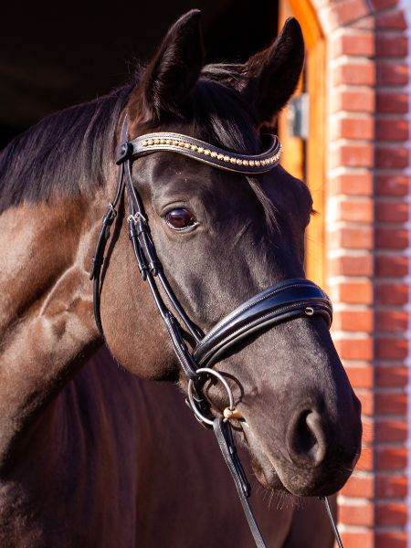 custom horse tack luxury crystal browband image