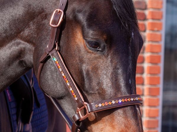 Image of luxury crystal horse halter 