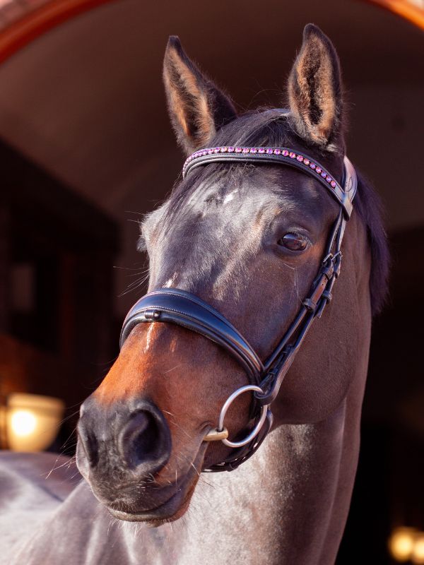 About page image for luxury equestrian tack and handmade crystal browband