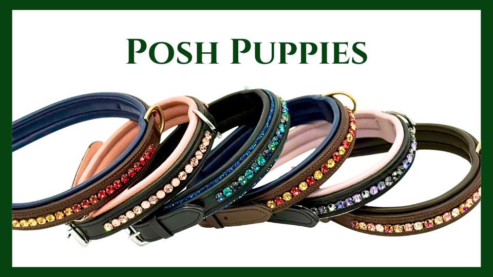 Luxury Equestrian Gear Coming soon button for dog collar page